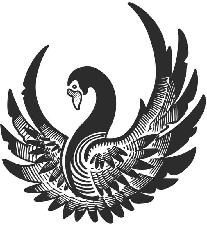 Black Swan Moving  logo
