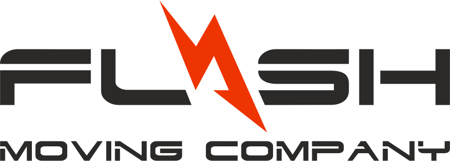Flash Moving logo