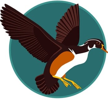 Absolute Moving & Storage, Inc. logo