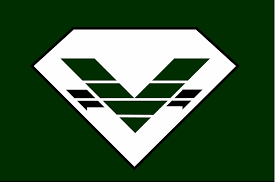 Vanguard Moving Services, Inc. logo