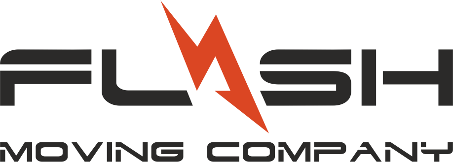 Flash Moving logo