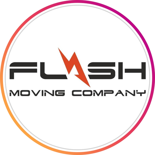 Flash Moving logo